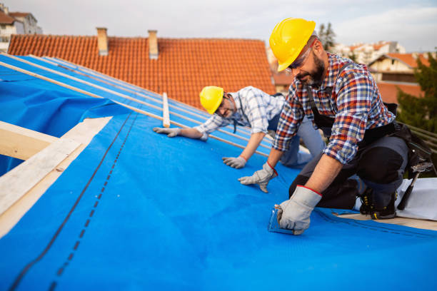Best Roof Leak Repair  in Sault Ste Marie, MI