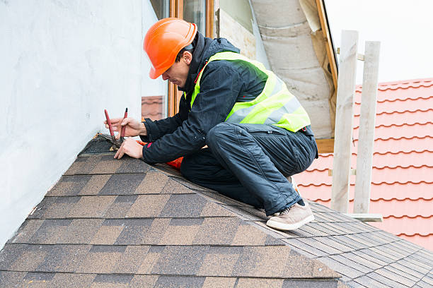 Best Roof Gutter Cleaning  in Sault Ste Marie, MI
